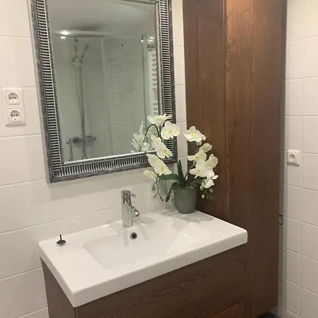 公寓 Studio-apartments Boulevard 瓦尔德萨森